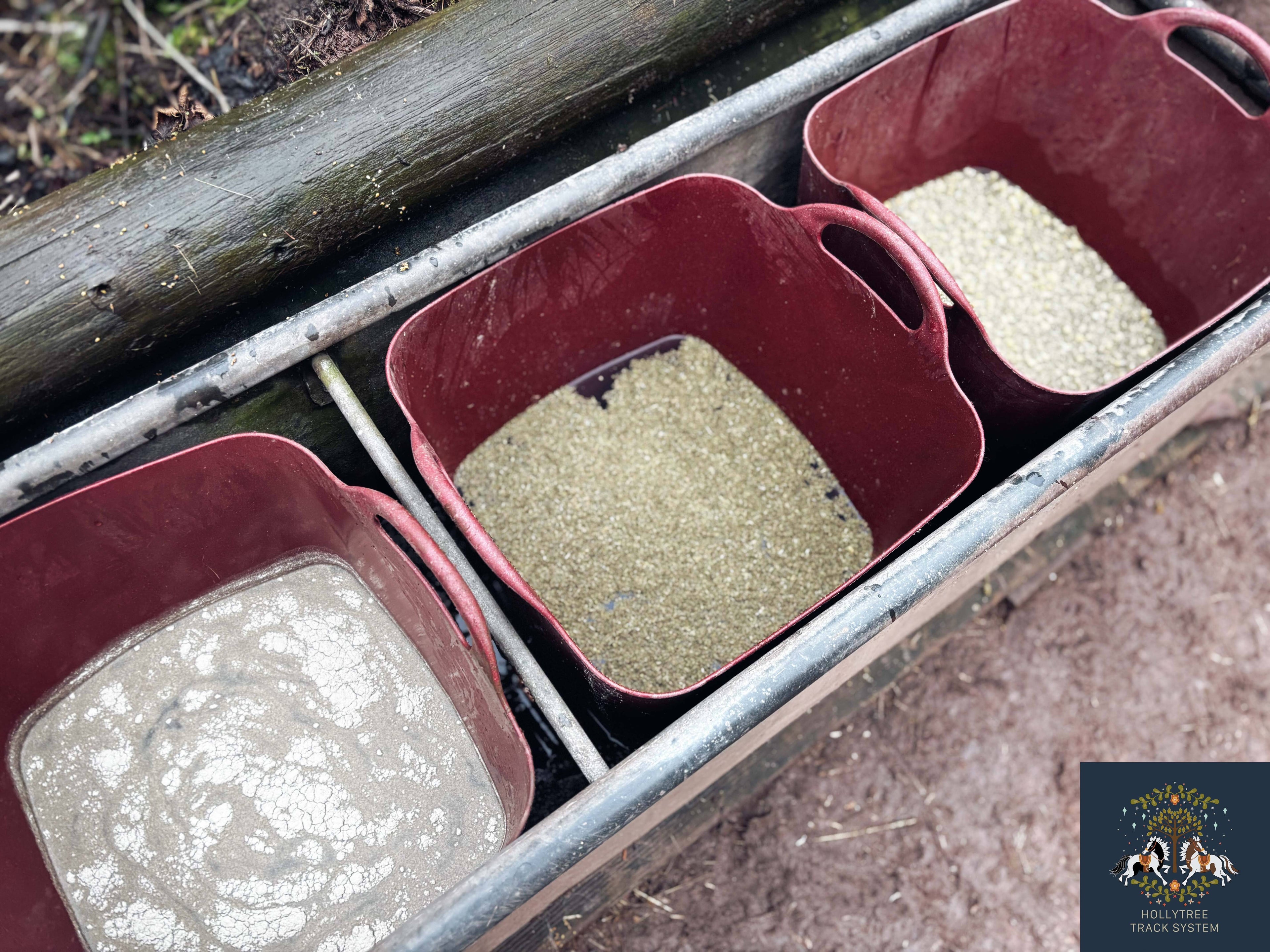 Water Buffet Starter Kit